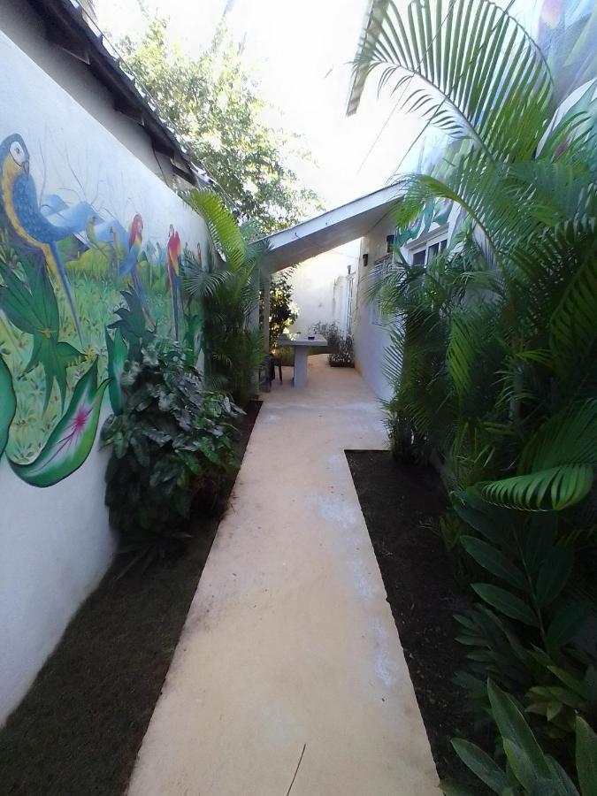 Beach Hotel Casa Nina Las Terrenas Eksteriør bilde