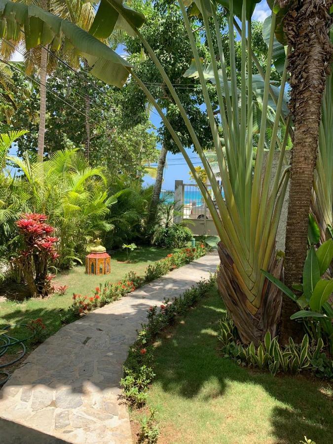 Beach Hotel Casa Nina Las Terrenas Eksteriør bilde