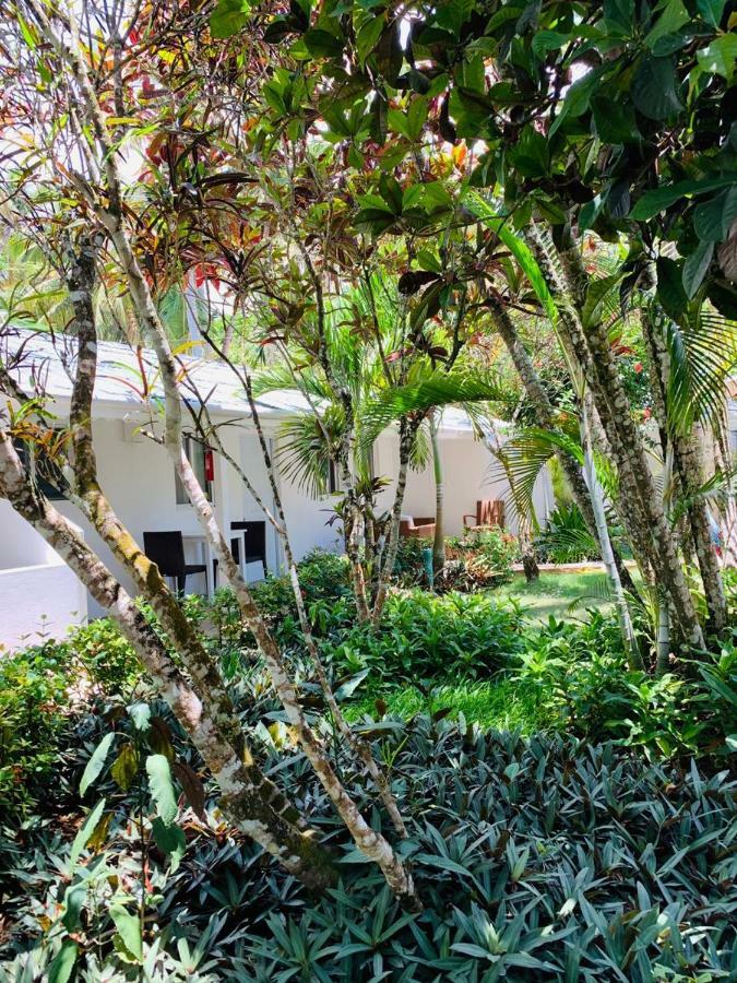 Beach Hotel Casa Nina Las Terrenas Eksteriør bilde