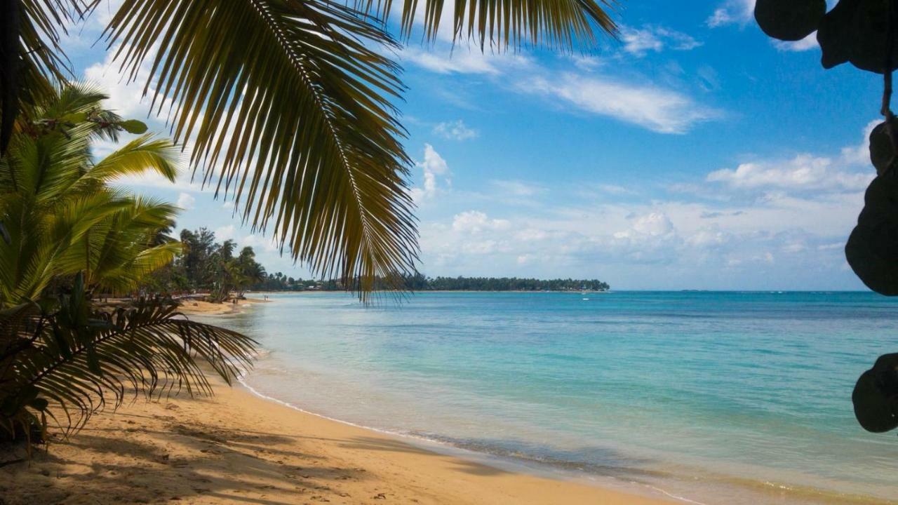 Beach Hotel Casa Nina Las Terrenas Eksteriør bilde
